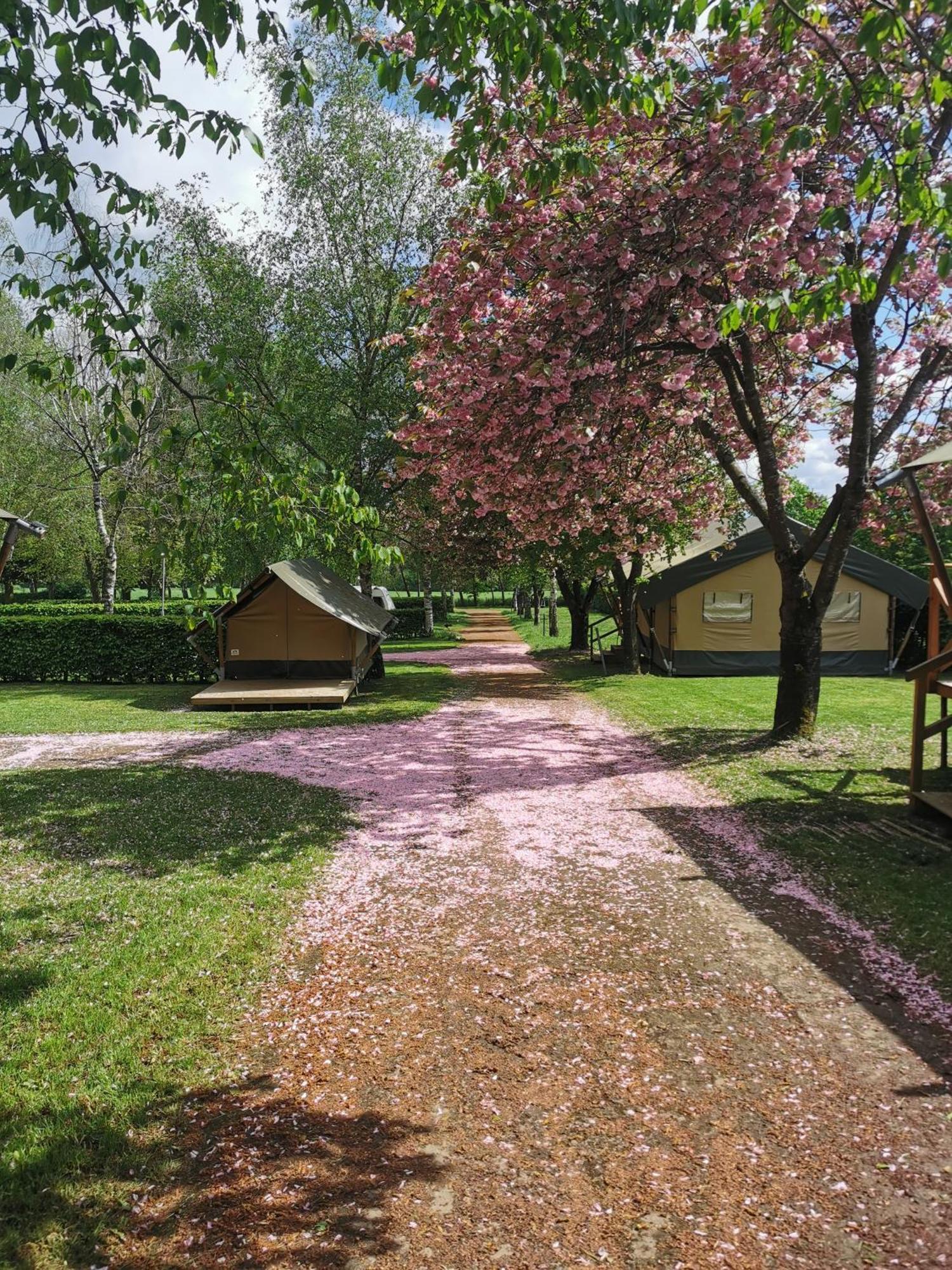 Safari Tent Xs - Camping Belle-Vue Berdorf Zewnętrze zdjęcie